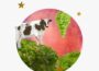 Mars in Taurus horoscopes, 2024 — Collage of cow atop a green field, grapes, stars, and the planet Mars for Mars in Taurus.