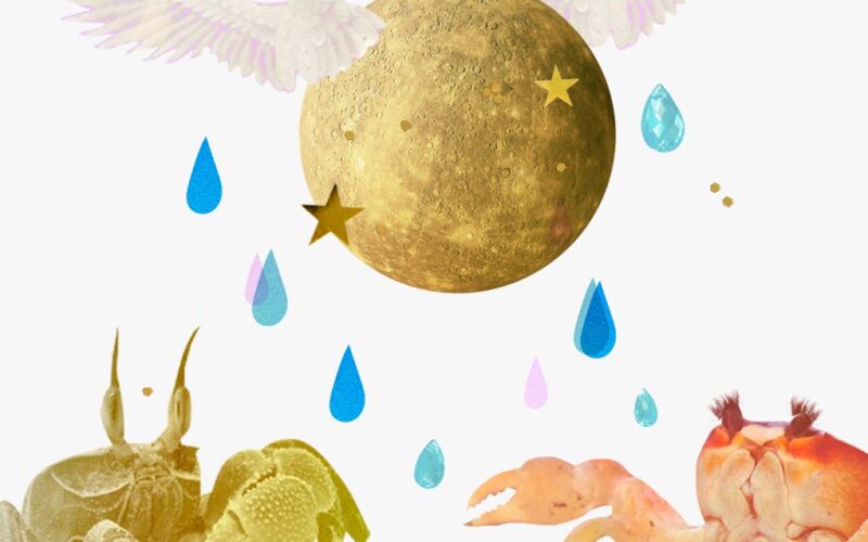 Mercury in Cancer horoscopes, 2024 – Collage of two crabs, raindrops, and the planet Mercury for Mercury in Cancer.