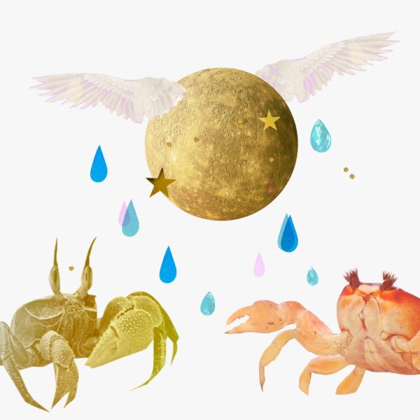Horóscopo Mercurio en Cáncer 2024: Collage de Mercurio en Cáncer que incluye dos cangrejos, gotas de lluvia y Mercurio.