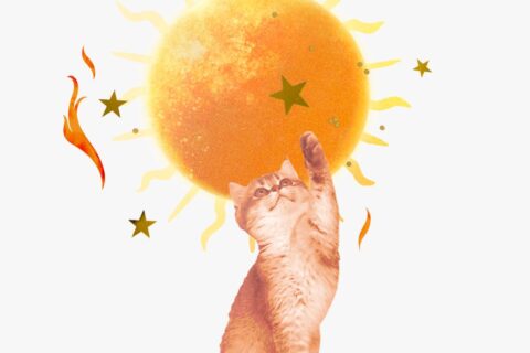 Sun in Leo horoscopes — Collage of a kitten playing with gold stars, flames, and the Sun for Sun in Leo horoscopes.