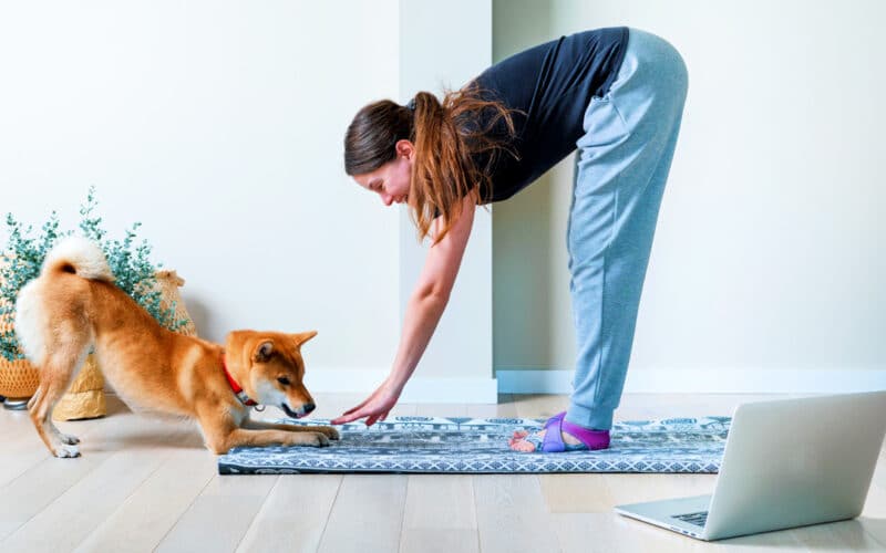 Balancing Physical Health and a Busy Lifestyle