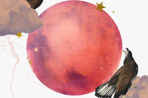 Mars in Gemini horoscopes, 2024 — Collage of two hawks, clouds, lightning, stars, and the planet Mars for Mars in Gemini.