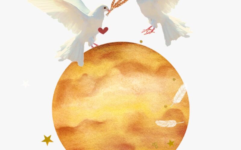 Venus in Virgo horoscopes, 2024 – Collage of two doves, gold stars, feathers, and the planet Venus for Venus in Virgo.
