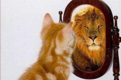 Sol en Leo - 17 de agosto - 16 de septiembre - Retorno del Rey