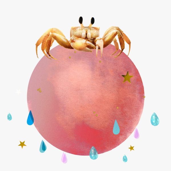 Marte en Cáncer 2024: horóscopo de Marte en Cáncer, encima de Marte hay un collage de estrellas, gotas de lluvia y cangrejos.