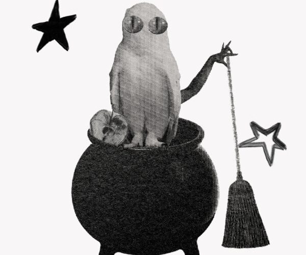 Black Moon Lilith - collage de un búho con gafas en un caldero