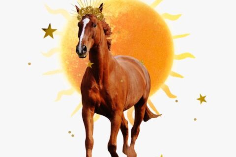 Carta estelar del Sol en Sagitario: collage de un caballo con una corona dorada radiante trotando frente al sol con estrellas doradas.