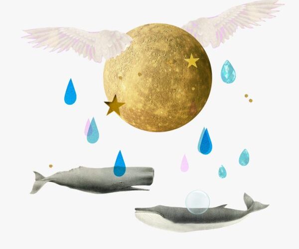Mercurio en el signo de Piscis, 2025 - collage de dos ballenas bajo la lluvia, Venus, burbujas y un planeta alado Mercurio.