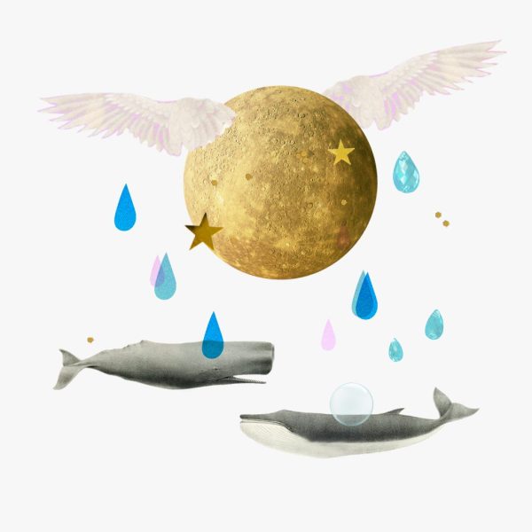 Mercurio en el signo de Piscis, 2025 - collage de dos ballenas bajo la lluvia, Venus, burbujas y un planeta alado Mercurio.