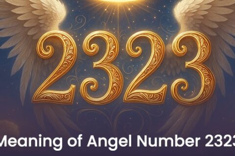 Angel número 2323 - Amor, doble fuego, carrera y significado