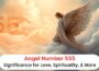 Angel número 555