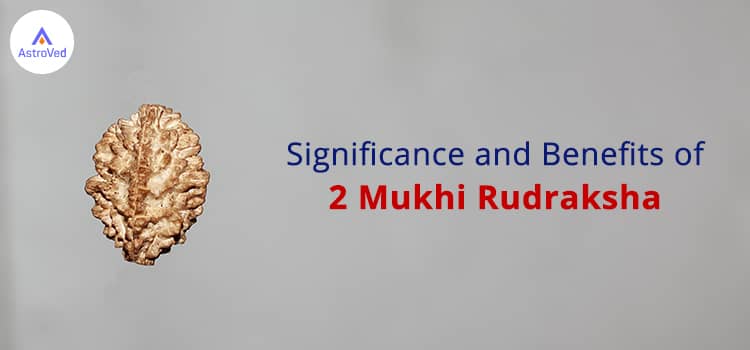 2 Mukhi Rudraksha