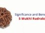 5 Mukhi Rudraksha