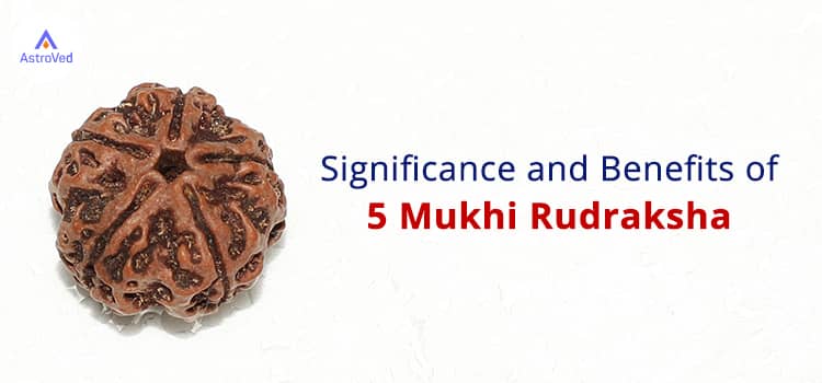 5 Mukhi Rudraksha