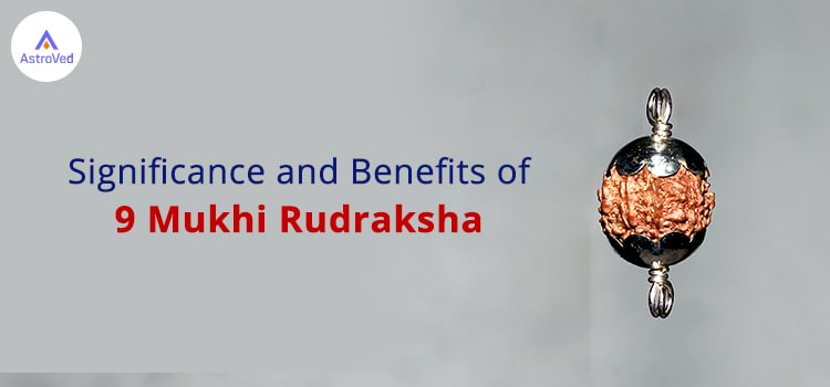 9-Mukhi-Rudraksha