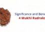 4 Significado y beneficios de Mukhi Rudraksha