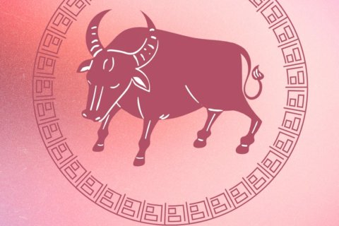 Doce Buey del Zodíaco Afortunado y Próspero 22 de diciembre de 2025